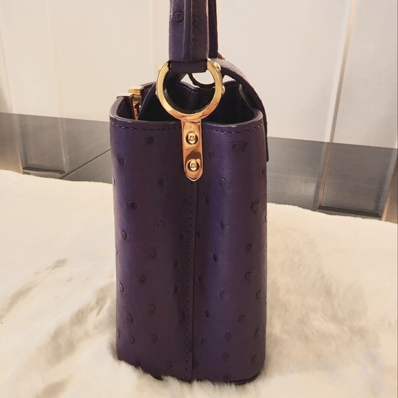 Louis Vuitton Ostrich Capucines Mini Purse - Picture 3 of 7